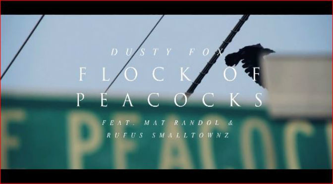 FLOCK OF PEACOCKS – Dusty Fox ft. Rufus Smalltownz & Mat Randol [Video]