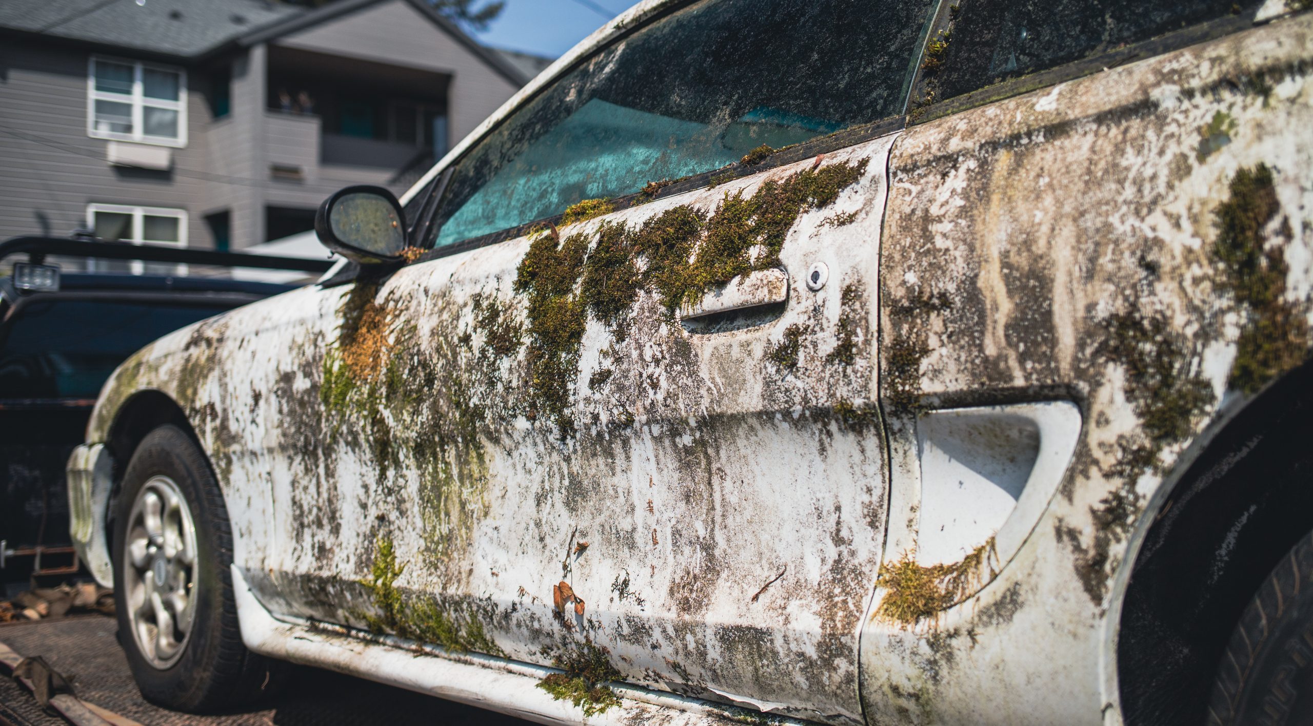Photo of the Day: Mustang [Street Photography]