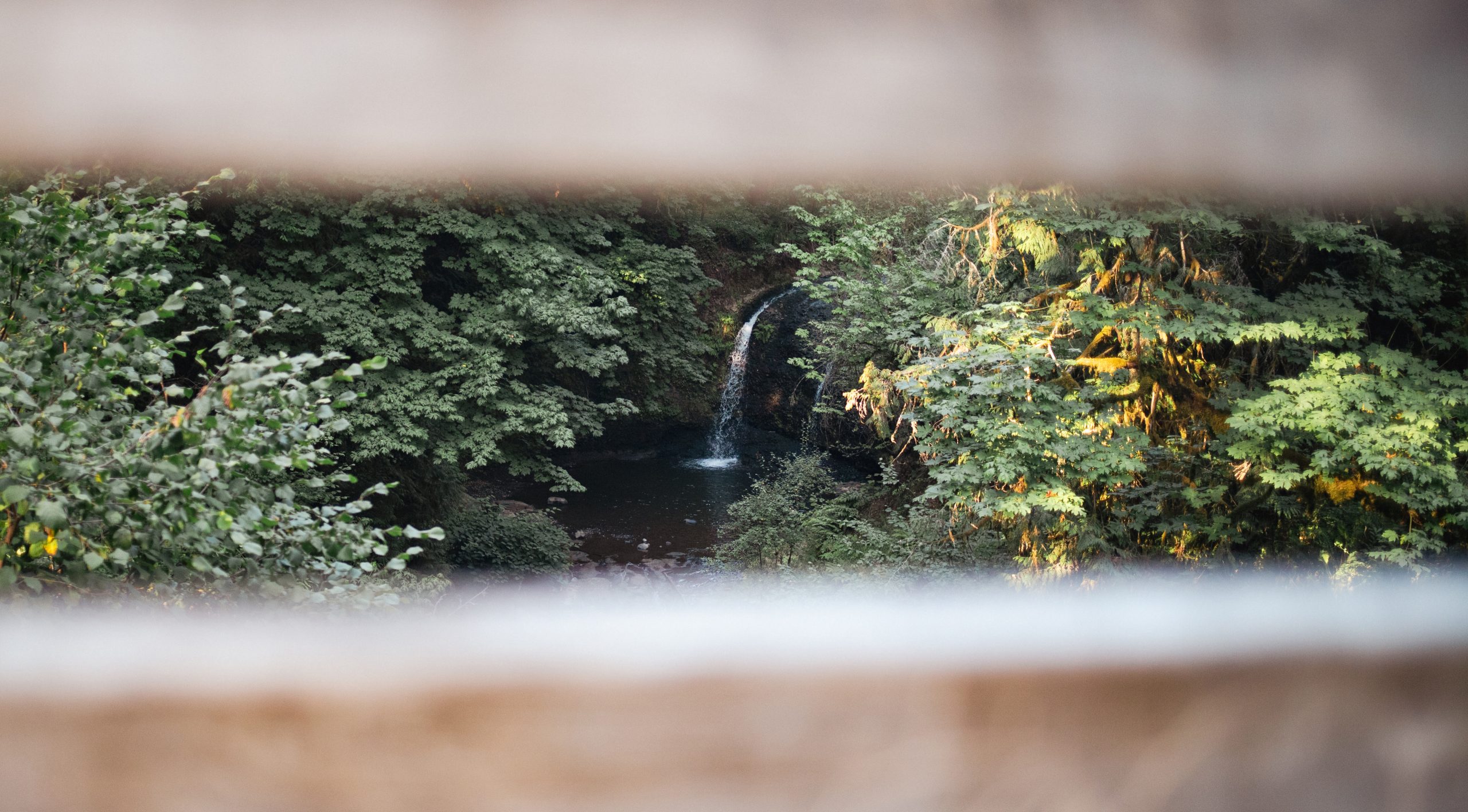 Hidden Falls Nature Park [Photography]
