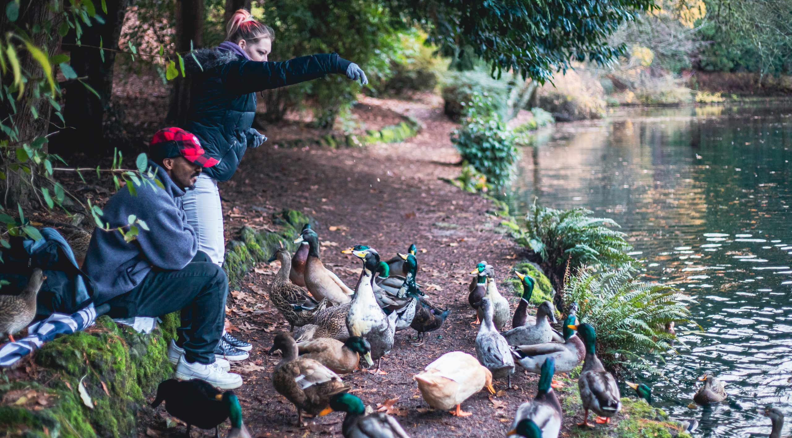 Laurelhurst Park // Portland, Oregon [Photography]