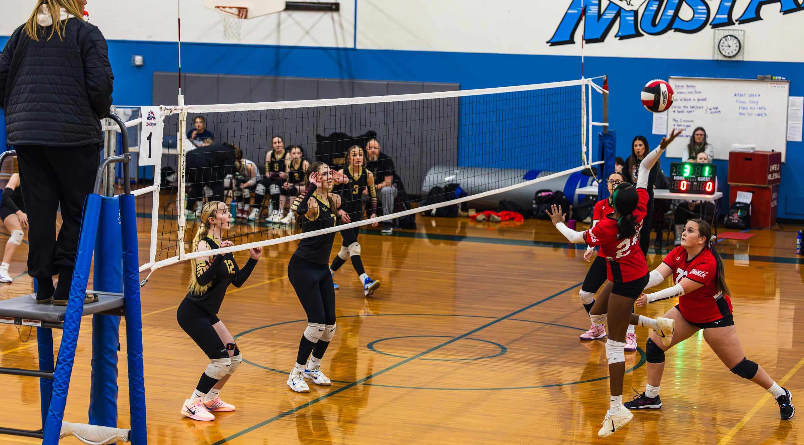 Jaymes Stone // 14-U Volleyball Highlights [Video]