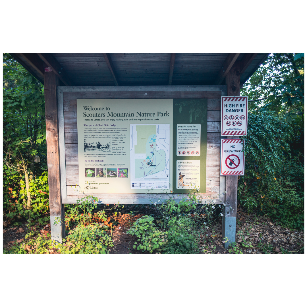 1 (1) (1) (1) (1) (1) (1) (1) (1) (1) (1) (1) (1) (1) (1) (1) (1) (1) (1) (1)