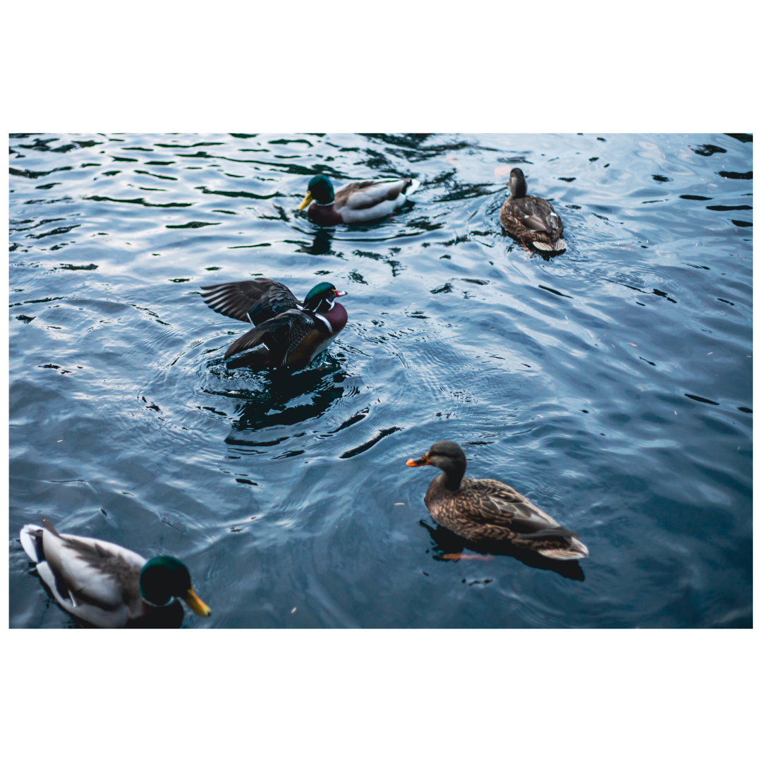 3 (1) (1) (1) (1) (1) (1) (1) (1) (1) (1) (1) (1) (1) (1) (1) (1) (1) (1) (1) (1) (1) (1) (1) (1) (1) (1) (1) (1) (1) (1) (1) (1) (1) (1) (1) (1)