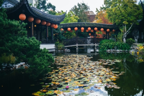 ChineseGarden-1-26