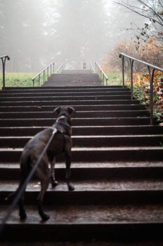 Mt. Tabor-1-20