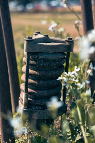 TulipFestival2025-0714