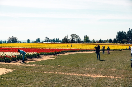 TulipFestival2025-0774