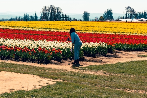 TulipFestival2025-0776