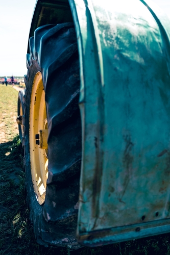 TulipFestival2025-0805