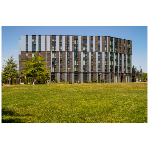 10 (1) (1) (1) (1) (1) (1) (1) (1) (1) (1)