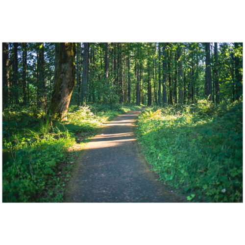 10 (1) (1) (1) (1) (1) (1) (1) (1) (1) (1) (1) (1) (1) (1)