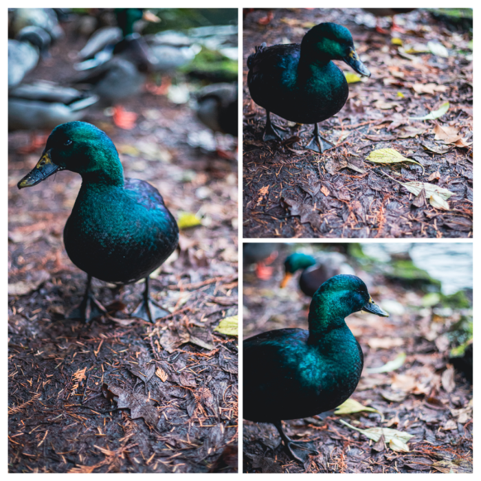 10 (1) (1) (1) (1) (1) (1) (1) (1) (1) (1) (1) (1) (1) (1) (1) (1) (1) (1) (1) (1) (1) (1) (1) (1) (1) (1) (1)