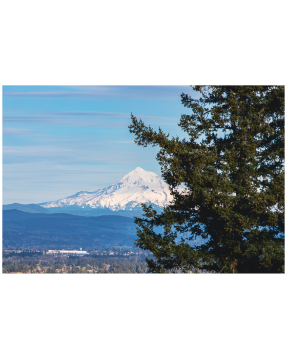 10 (1) (1) (1) (1) (1) (1) (1) (1) (1) (1) (1) (1) (1) (1) (1) (1) (1) (1) (1) (1) (1) (1) (1) (1) (1) (1) (1) (1) (1) (1) (1) (1) (1) (1) (1) (1) (1) (1) (1) (1) (1) (1) (1)