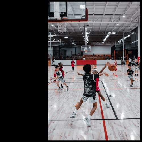 11 (1) (1) (1) (1) (1) (1) (1) (1) (1) (1)