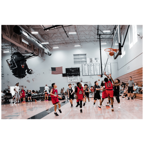 11 (1) (1) (1) (1) (1) (1) (1) (1) (1) (1) (1) (1) (1)