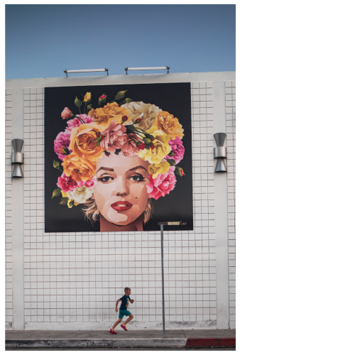 11 (1) (1) (1) (1) (1) (1) (1) (1) (1) (1) (1) (1) (1) (1) (1)