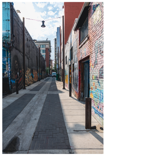 11 (1) (1) (1) (1) (1) (1) (1) (1) (1) (1) (1) (1) (1) (1) (1) (1) (1)