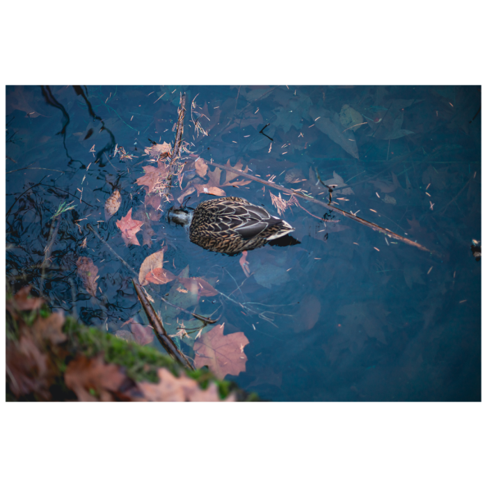 11 (1) (1) (1) (1) (1) (1) (1) (1) (1) (1) (1) (1) (1) (1) (1) (1) (1) (1) (1) (1) (1) (1) (1)