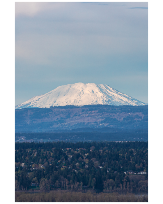 11 (1) (1) (1) (1) (1) (1) (1) (1) (1) (1) (1) (1) (1) (1) (1) (1) (1) (1) (1) (1) (1) (1) (1) (1) (1) (1) (1) (1) (1) (1) (1) (1) (1) (1) (1) (1) (1) (1) (1)