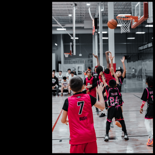 13 (1) (1) (1) (1) (1) (1) (1) (1)