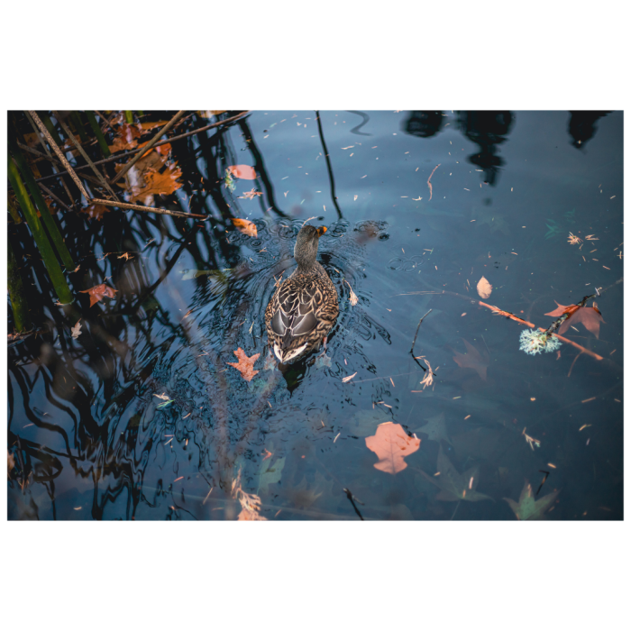 13 (1) (1) (1) (1) (1) (1) (1) (1) (1) (1) (1) (1) (1) (1) (1) (1) (1) (1) (1)