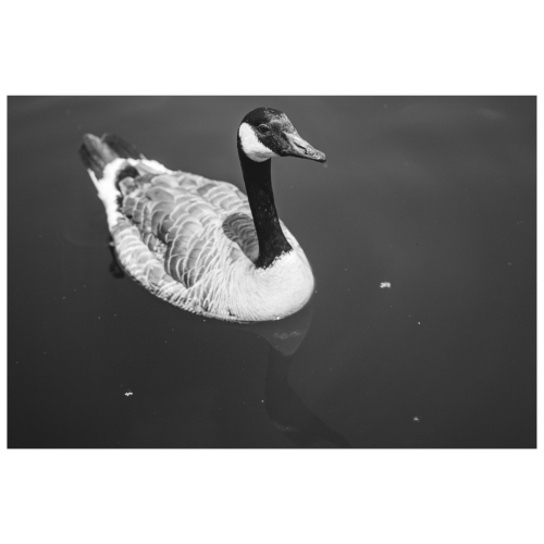 14 (1) (1) (1) (1) (1)