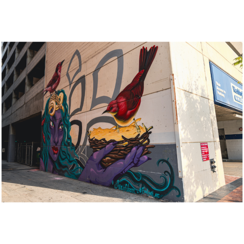 14 (1) (1) (1) (1) (1) (1) (1) (1) (1) (1) (1) (1) (1)