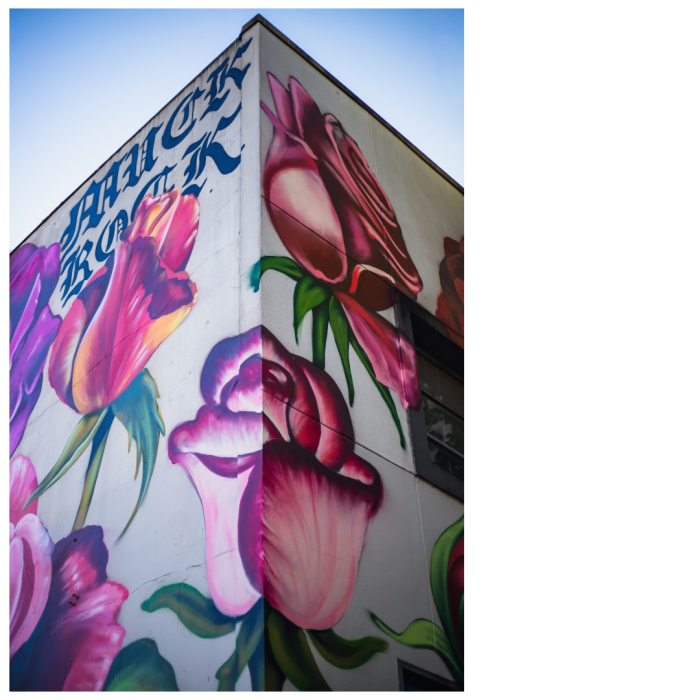 14 (1) (1) (1) (1) (1) (1) (1) (1) (1) (1) (1) (1) (1) (1) (1)