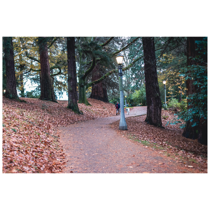 14 (1) (1) (1) (1) (1) (1) (1) (1) (1) (1) (1) (1) (1) (1) (1) (1) (1) (1)