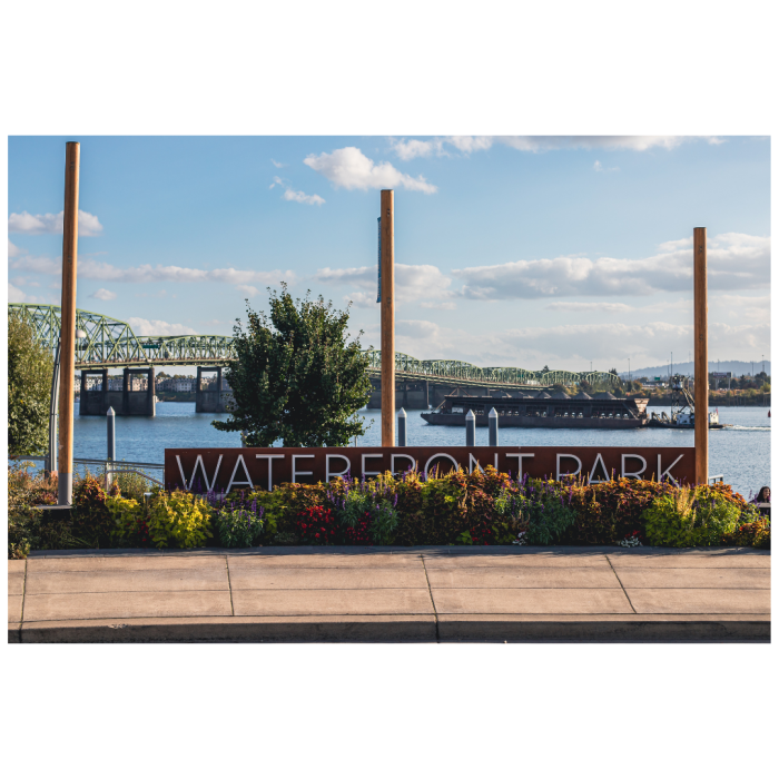 15 (1) (1) (1) (1) (1) (1) (1) (1) (1) (1) (1) (1) (1) (1) (1)