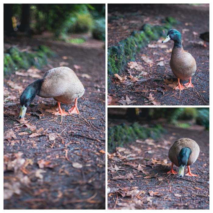 15 (1) (1) (1) (1) (1) (1) (1) (1) (1) (1) (1) (1) (1) (1) (1) (1)