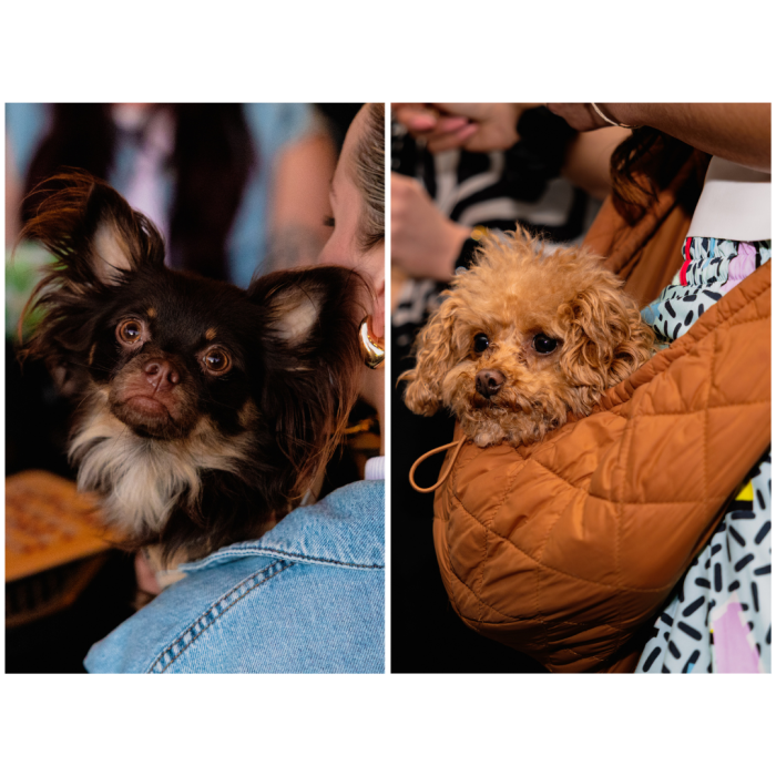 15 (1) (1) (1) (1) (1) (1) (1) (1) (1) (1) (1) (1) (1) (1) (1) (1) (1) (1) (1) (1) (1) (1) (1) (1) (1) (1) (1) (1) (1)