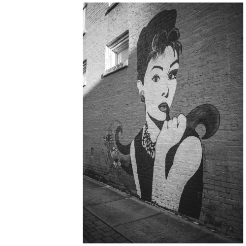 16 (1) (1) (1) (1) (1) (1) (1) (1)