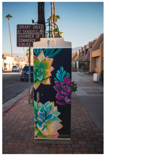 17 (1) (1) (1) (1) (1) (1) (1) (1)