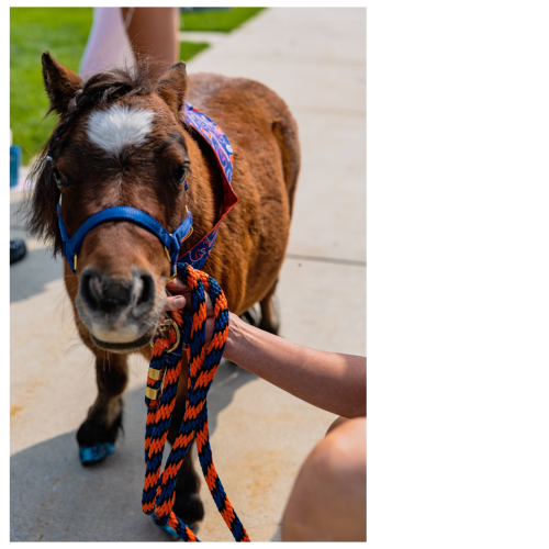 19 (1) (1) (1) (1) (1) (1) (1) (1)