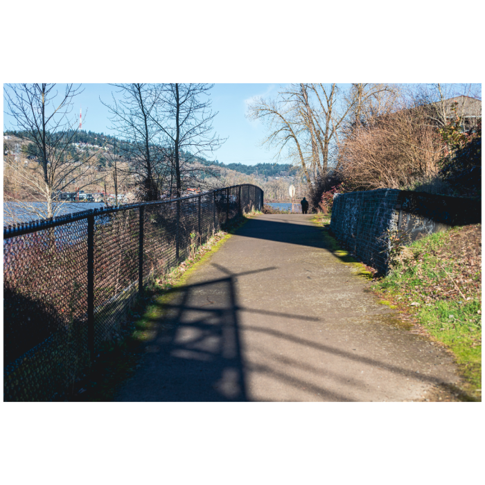 19 (1) (1) (1) (1) (1) (1) (1) (1) (1) (1) (1) (1) (1) (1) (1)