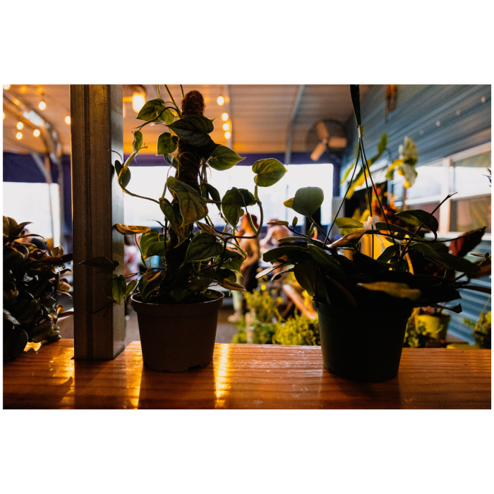 19 (1) (1) (1) (1) (1) (1) (1) (1) (1) (1) (1) (1) (1) (1) (1) (1) (1) (1) (1) (1)