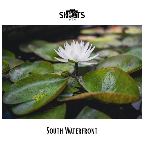 1 (1) (1) (1) (1) (1) (1) (1) (1) (1) (1) (1) (1)