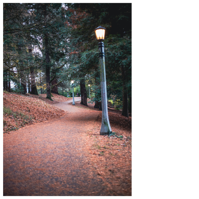 1 (1) (1) (1) (1) (1) (1) (1) (1) (1) (1) (1) (1) (1) (1) (1) (1) (1) (1) (1) (1) (1) (1) (1) (1) (1) (1) (1) (1) (1) (1) (1) (1) (1) (1) (1) (1)