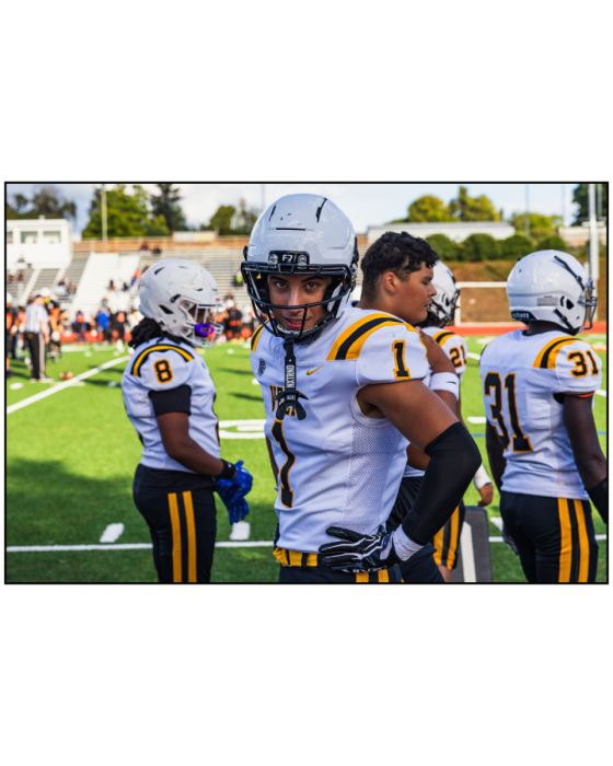 1fnl-2
