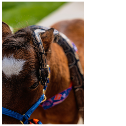 20 (1) (1) (1) (1) (1) (1) (1) (1)