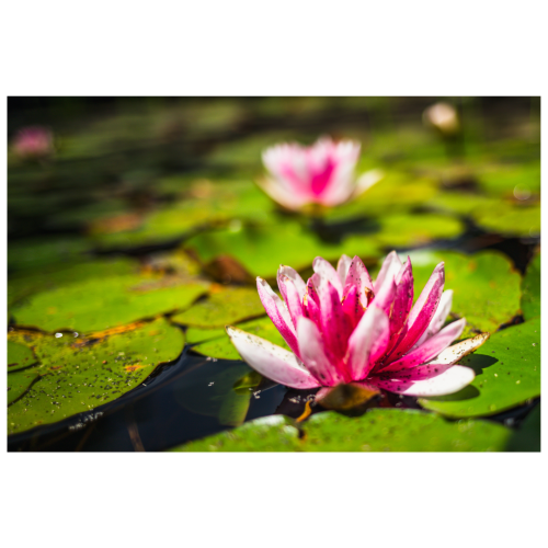 2 (1) (1) (1) (1) (1) (1) (1) (1) (1) (1) (1) (1)