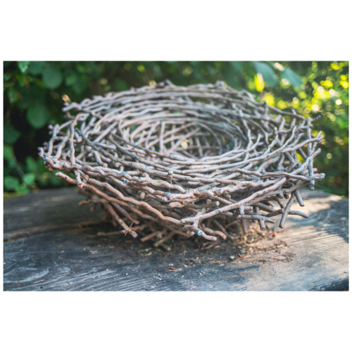 2 (1) (1) (1) (1) (1) (1) (1) (1) (1) (1) (1) (1) (1) (1) (1) (1) (1) (1) (1)