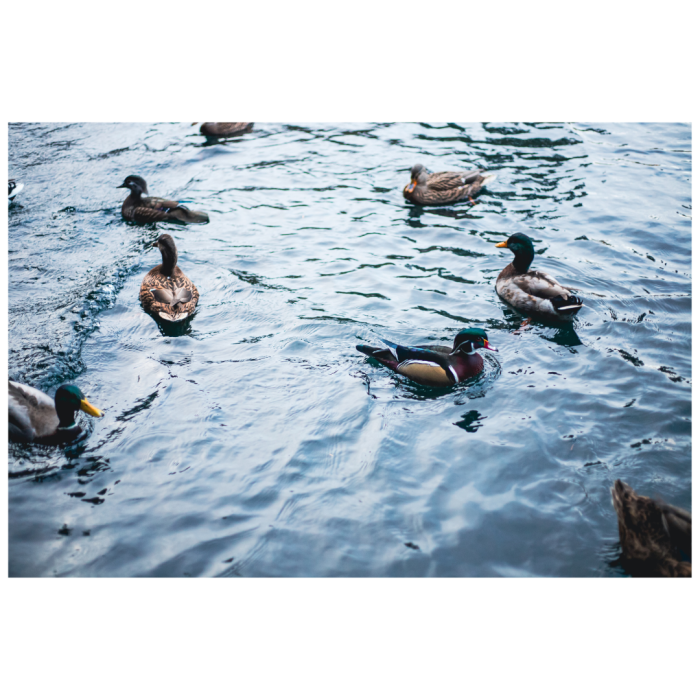 2 (1) (1) (1) (1) (1) (1) (1) (1) (1) (1) (1) (1) (1) (1) (1) (1) (1) (1) (1) (1) (1) (1) (1) (1) (1) (1) (1) (1) (1) (1) (1) (1) (1) (1) (1) (1)