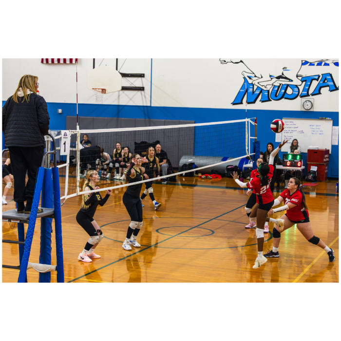 2 (1) (1) (1) (1) (1) (1) (1) (1) (1) (1) (1) (1) (1) (1) (1) (1) (1) (1) (1) (1) (1) (1) (1) (1) (1) (1) (1) (1) (1) (1) (1) (1) (1) (1) (1) (1) (1) (1) (1) (1) (1) (1) (1) (1) (1) (1) (1)