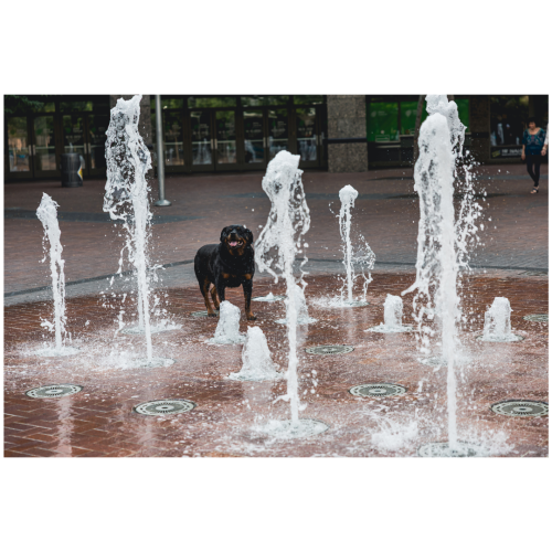 3 (1) (1) (1) (1) (1) (1) (1) (1) (1) (1) (1) (1) (1) (1) (1) (1) (1) (1) (1) (1) (1) (1) (1) (1) (1) (1) (1)