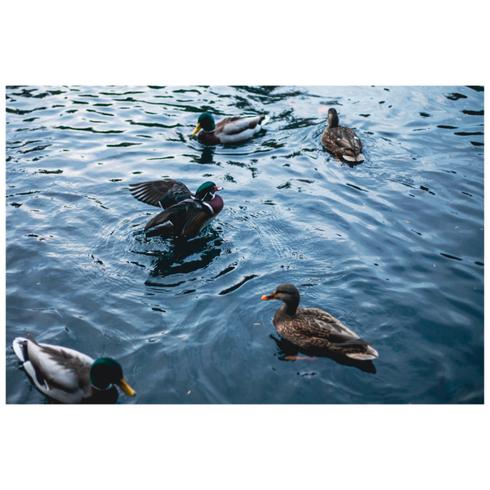 3 (1) (1) (1) (1) (1) (1) (1) (1) (1) (1) (1) (1) (1) (1) (1) (1) (1) (1) (1) (1) (1) (1) (1) (1) (1) (1) (1) (1) (1) (1) (1) (1) (1) (1) (1) (1)