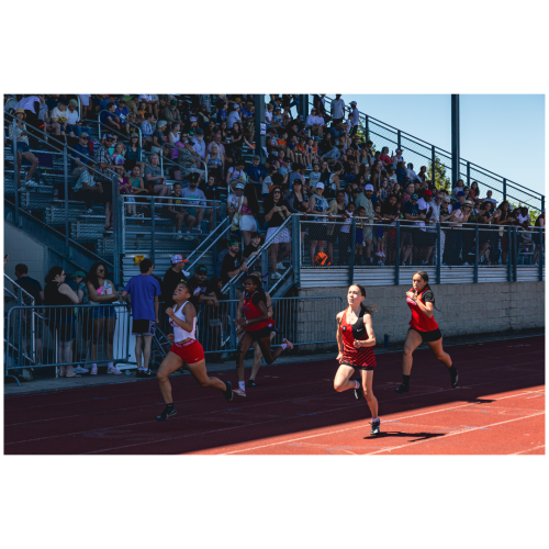 4 (1) (1) (1) (1) (1) (1) (1) (1) (1)