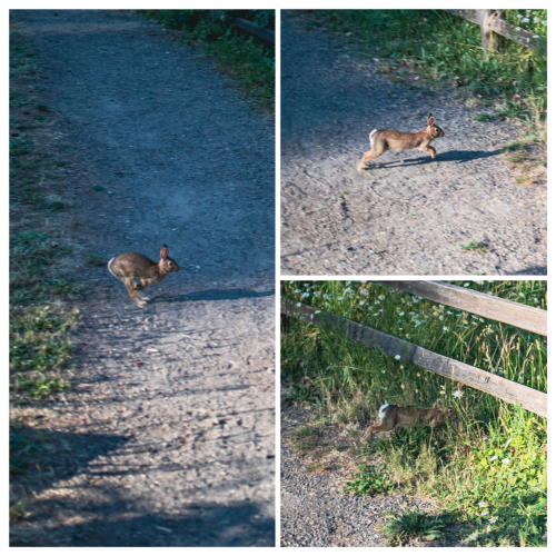 4 (1) (1) (1) (1) (1) (1) (1) (1) (1) (1) (1) (1) (1) (1) (1) (1) (1) (1)