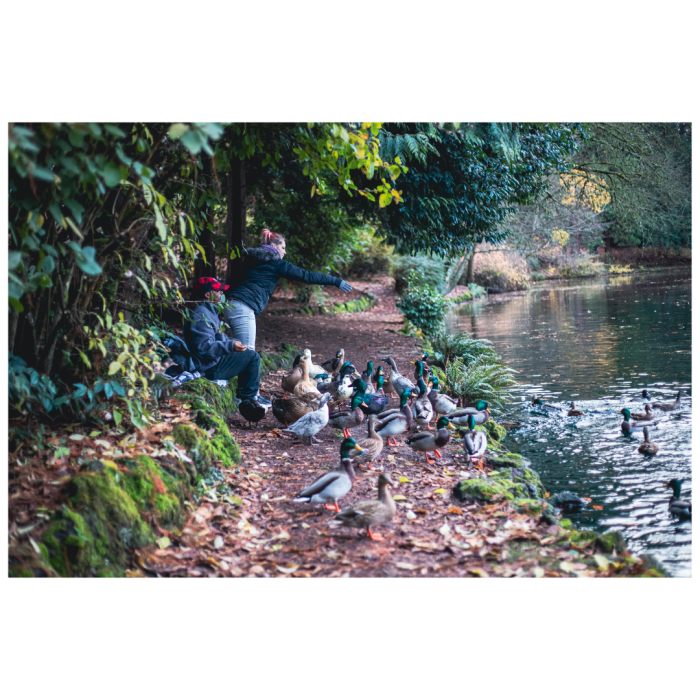 4 (1) (1) (1) (1) (1) (1) (1) (1) (1) (1) (1) (1) (1) (1) (1) (1) (1) (1) (1) (1) (1) (1) (1) (1) (1) (1) (1) (1) (1) (1) (1) (1) (1) (1)